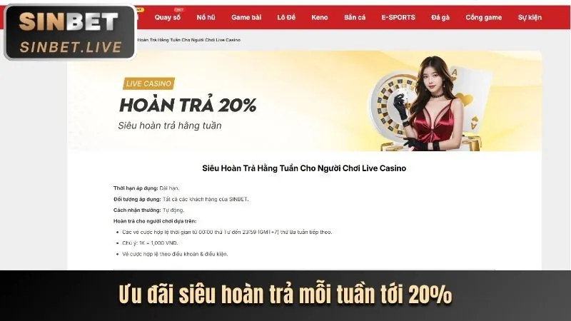 Tổng quan các chiến lược chơi casino